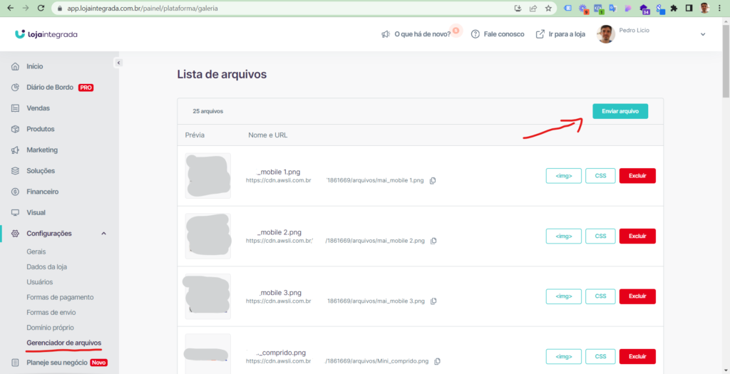 como adicionar um botão Flutuante do whatsApp na loja integrada (Plano Gratuito) 3 image